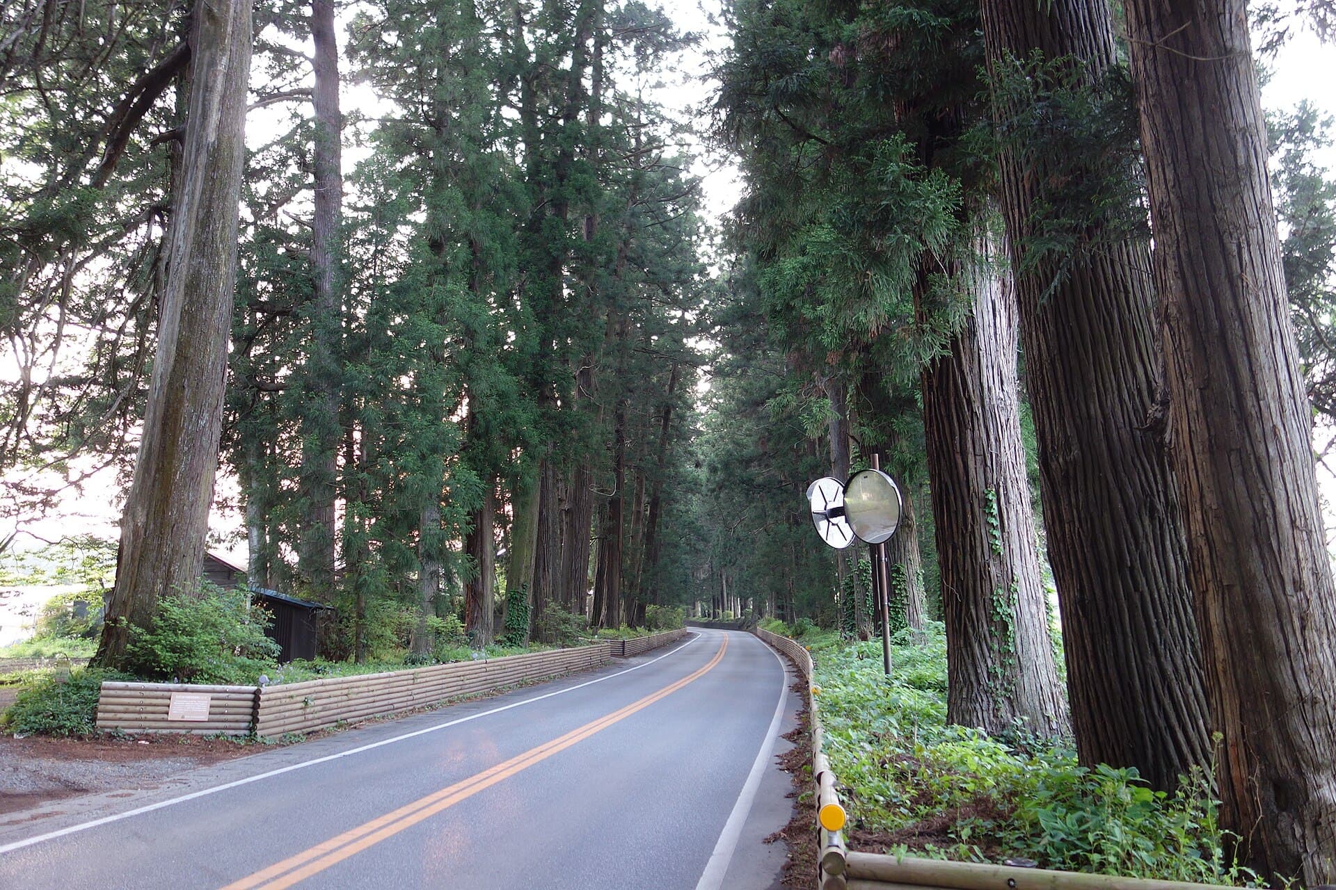 Cedar Avenue of Nikko