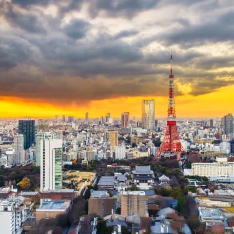 Tokyo skyline and cityscape
